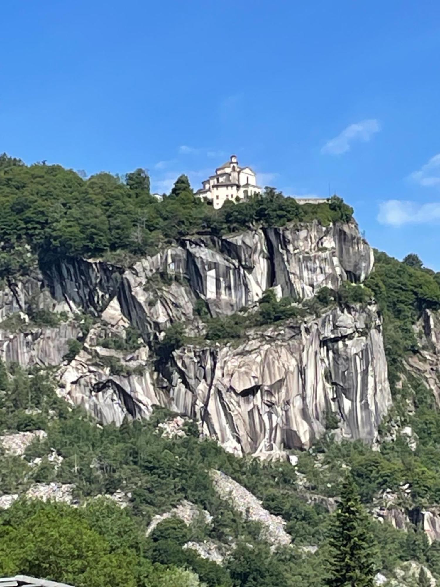 L Arcolaio
